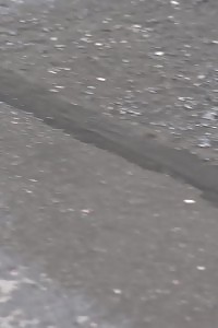 Blonde Pulls Down Her Jeans And Pisses