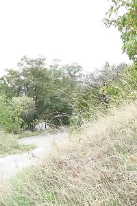 Ginger In Pants Pissing Outside