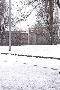 Brunette Doll Turns The Snow Yellow
